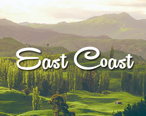 NZ East Coast Eastland Map