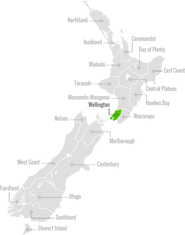 Wellington NZ Map